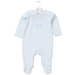 Load image into Gallery viewer, Baby Turtle Padded Applique All In One - Blue
