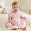 Load image into Gallery viewer, Baby Girls Lined Dress With Embroidery Detail - Pink
