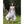 Load image into Gallery viewer, Blonde &amp; Wise Wendy Dress - Black/White
